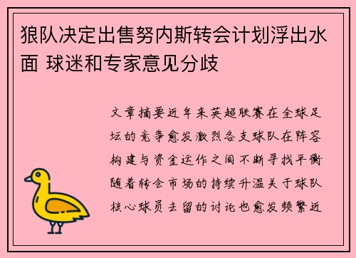 狼队决定出售努内斯转会计划浮出水面 球迷和专家意见分歧
